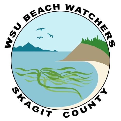 Skagit WSU Beach Watcher Coordintor Position Posted