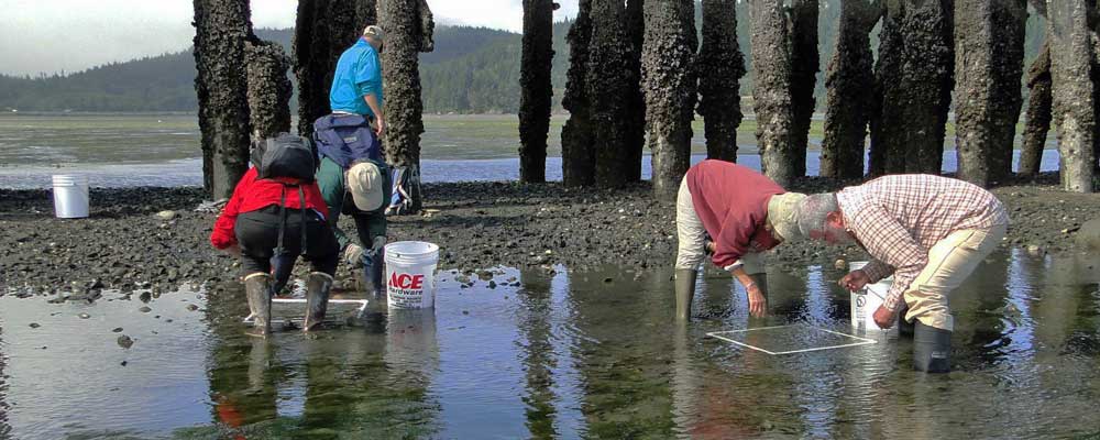 Be A Citizen Scientist