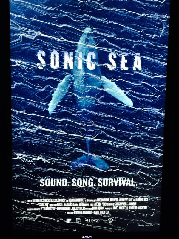 sonic sea poster